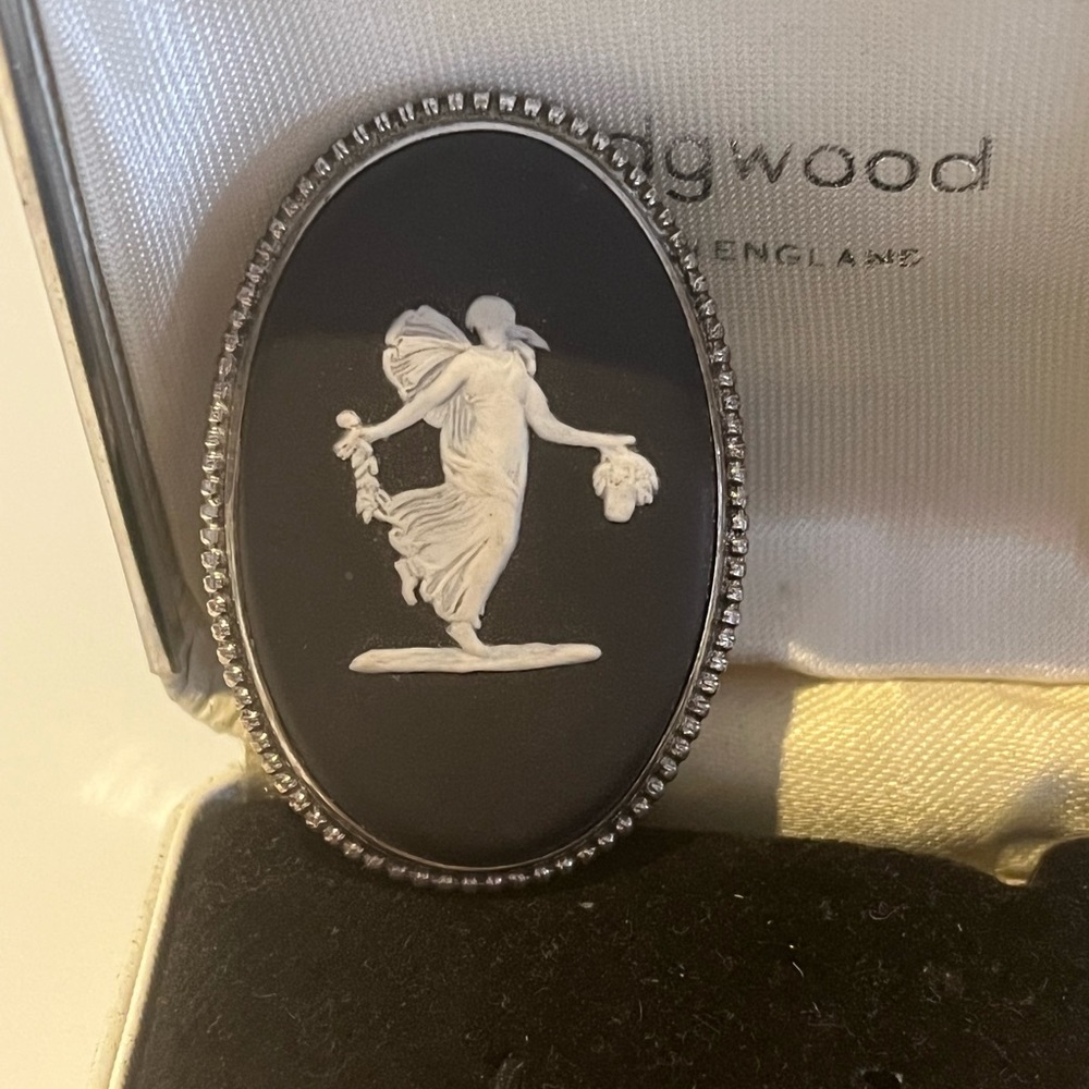 Closing closet make offer- 1969 Wedgwood brooch